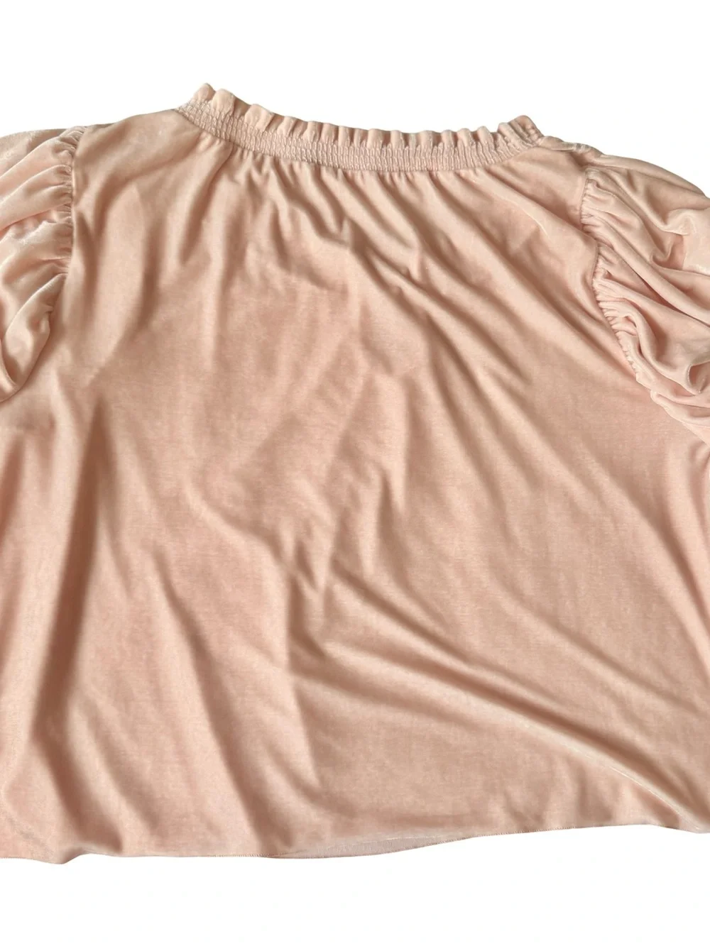 Free People Women’s Pink Terese Velvet Velour Top Size L